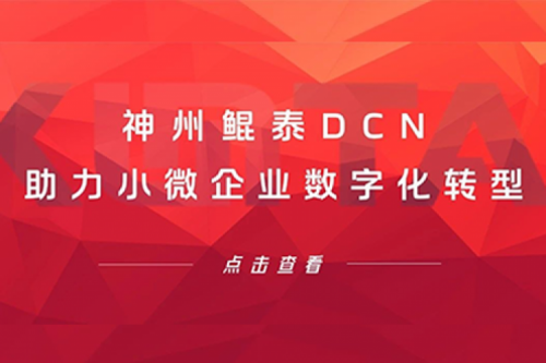 BB贝博艾弗森官网DCN助力小微企业数字化转型